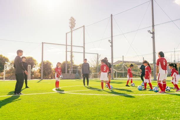 探秘奥运版 探秘奥运版